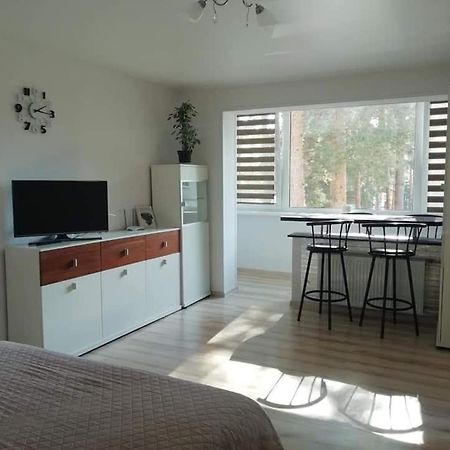 Light One Room Apartment Visaginas Eksteriør billede