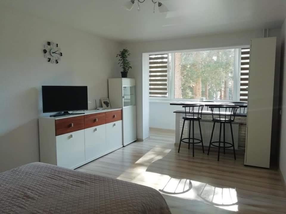 Light One Room Apartment Visaginas Eksteriør billede
