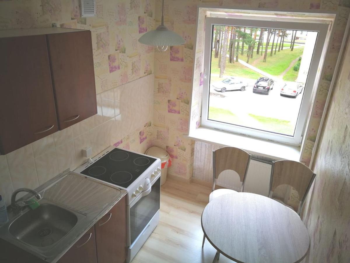 Light One Room Apartment Visaginas Eksteriør billede