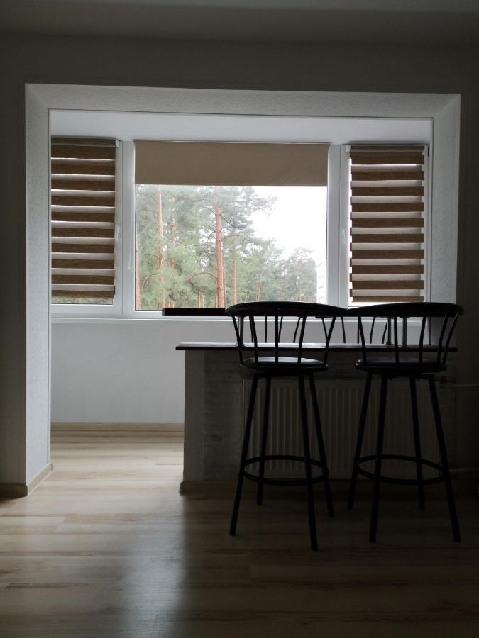 Light One Room Apartment Visaginas Eksteriør billede